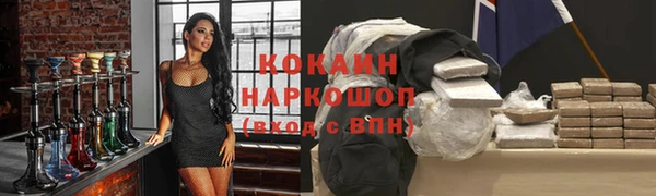 соль ск Алзамай